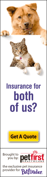 PetFirst Healthcare insurance for your cat or dog